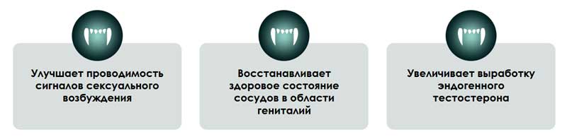 Принцип работы препарата для потенции